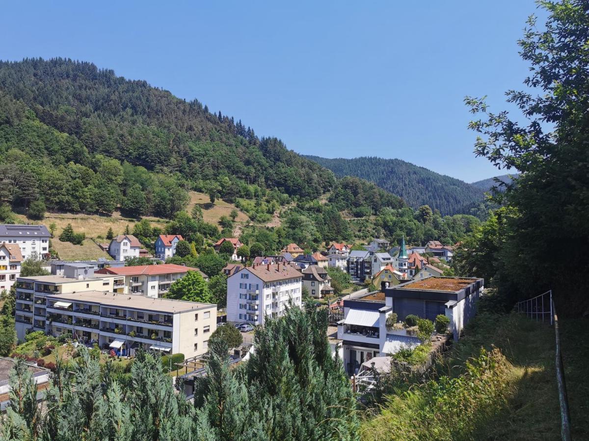 Terrassenwohnung Mit Toller Aussicht & Zentrumsnah Хорнберг Экстерьер фото